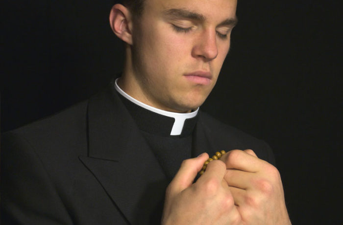 In faucibus risus